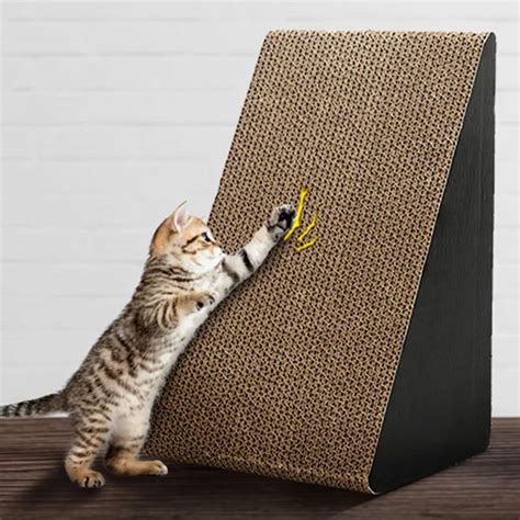 The Witchcraft Synthesizer Cat Scratcher: Where Magic Meets Music